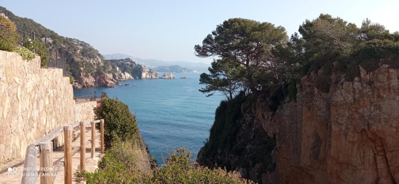 Villa Blanca 10 Minutos De La Playa Costa Brava Massanet De La Selva Eksteriør billede