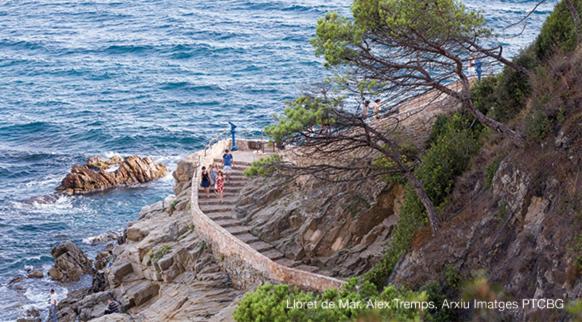Villa Blanca 10 Minutos De La Playa Costa Brava Massanet De La Selva Eksteriør billede
